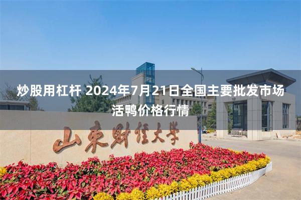 炒股用杠杆 2024年7月21日全国主要批发市场活鸭价格行情