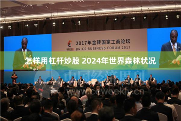 怎样用杠杆炒股 2024年世界森林状况