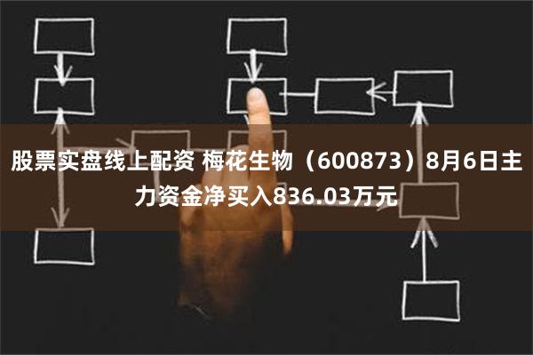 股票实盘线上配资 梅花生物（600873）8月6日主力资金净买入836.03万元