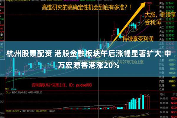 杭州股票配资 港股金融板块午后涨幅显著扩大 申万宏源香港涨20%