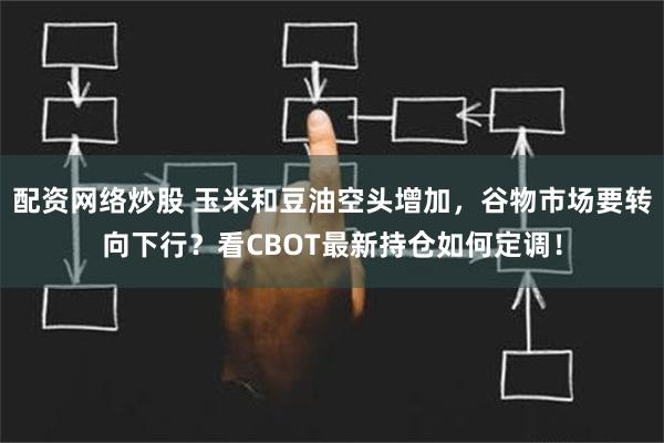 配资网络炒股 玉米和豆油空头增加，谷物市场要转向下行？看CBOT最新持仓如何定调！