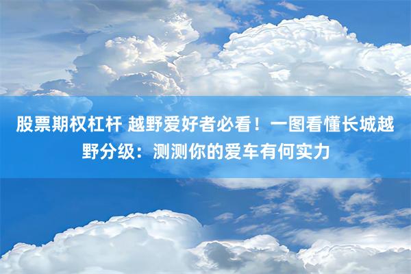 股票期权杠杆 越野爱好者必看！一图看懂长城越野分级：测测你的爱车有何实力