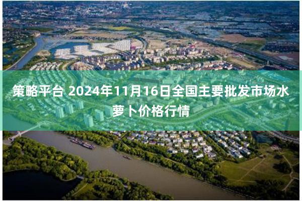 策略平台 2024年11月16日全国主要批发市场水萝卜价格行情