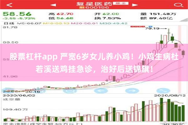 股票杠杆app 严宽6岁女儿养小鸡！小鸡生病杜若溪送鸡挂急诊，治好后送锦旗！