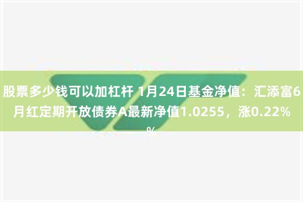 股票多少钱可以加杠杆 1月24日基金净值：汇添富6月红定期开放债券A最新净值1.0255，涨0.22%